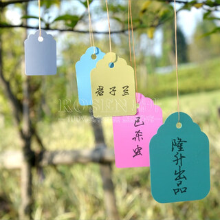 奔新农100片园艺标签植物果树吊签苗木标示牌记号牌PVC塑料带线书写吊牌 4*6cm白100片 
