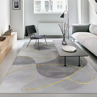 Xuxian light luxury living room carpet floor mat coffee table mat bedroom living room carpet home entrance anti-slip mat large area carpet light luxury-03 200*300 cm