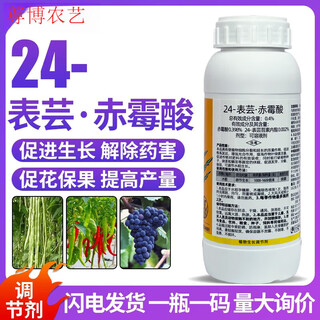 24 brassinoids + gibberellic acid, brassinolide lactone, gibberellic acid, multiflora plant growth regulator 200ml*1 bottle