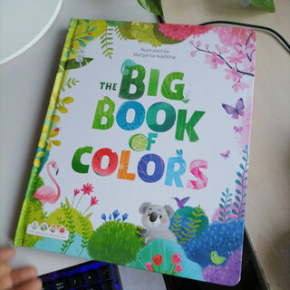 【绝版旧书】THE BIG BOOK OF COLORS
