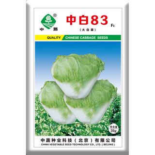 Chinese academy of agricultural sciences seeds autumn cabbage seeds four seasons field vegetable seed larvae zhongbai 83 cabbage seeds 20g