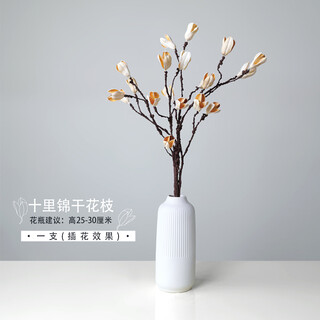Aesthetic hacker dried flower bouquet decoration living room furnishings floor-standing large bouquet of high branches air-dried dried fruits natural real flowers simulated branches and branches 1 light-colored ten-mile brocade