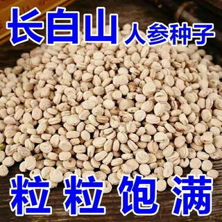 Changbai mountain ginseng seeds, wild ginseng seeds, easy to grow chinese medicinal materials in all seasons, easy to live indoor flower pots, changbai mountain ginseng seeds, new species, new species, about 200 capsules