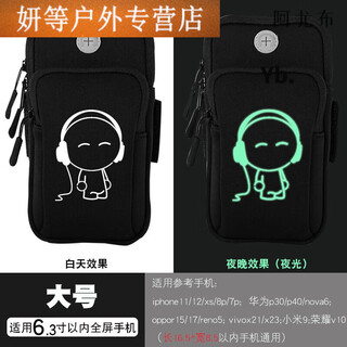 Ayub mobile phone arm bag reflective running sports arm band wrist bag men and women mobile phone bag night running fitness equipment arm arm sleeve large music children luminous
