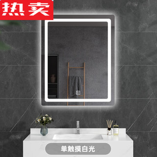 German imported quality bathroom mirror wall-mounted toilet led with light anti-fog smart mirror touch screen toilet luminous mirror vertical hanging (white light) single touch (no frame) + explosion-proof 500mm*700mm