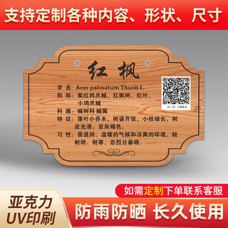 Customized acrylic tree sign, school park nameplate, flower, fruit tree sign, tree introduction, courtyard b&b sp-04 10x15cm