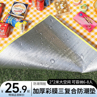 Muhuo moisture-proof mat, beach mat, waterproof and moisture-proof tent mat, thickened camping mat, aluminum film crawling mat, large size
