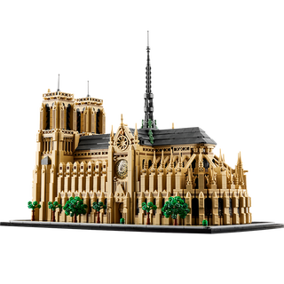 【9成新】乐高（LEGO）积木拼装建筑系列21061 巴黎圣母院18岁+男孩女孩玩具生日礼物