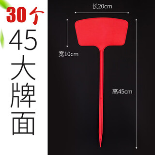 Yong huan noodle gardening ground sign writing plant label experimental plug sign succulent label signage ground plug sign 30 large size 45cm red