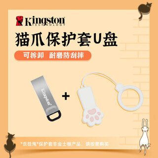 适用金士顿u盘256g高速车载金属迷你优盘移动U盘电脑办公DTKN系统 DTKN+猫爪保护套 64GB