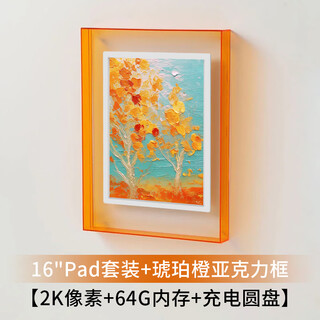 PIN·TURA16寸Pinpin数码相框电子相册摆台壁挂智能云画屏显示屏送人长辈父母礼物生日纪念教师节礼品 16