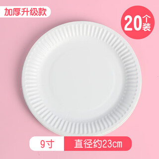 Kindergarten handmade special paper plate white disposable children's art diy painting colorful cake painting 9 inches / diameter 23cm (20 pieces)