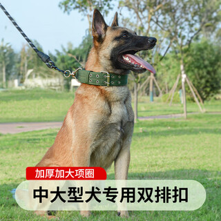 Haiyi duo dog collar traction collar foam collar dog walking large dog collar small and medium-sized dog collar dog collar teddy collar collar double-breasted 4cm wide recommended 41-80 jin jin equals 0.5 kg