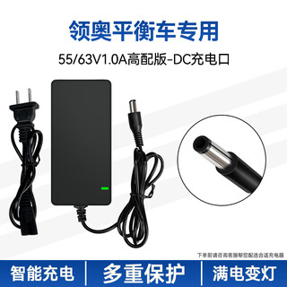 Lingao two-wheel balance car charger 42/55/36v power adapter round head three-hole universal charger with cable 55/63v1.0a high version-dc charging port
