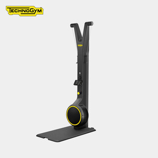 He jiagong technogym technogym indoor professional ski machine skillup