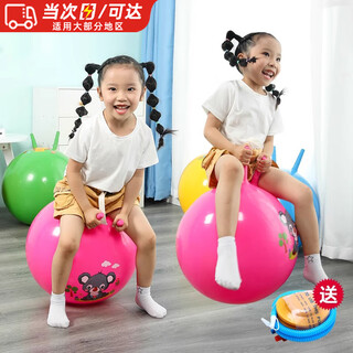猎瑞羊角球平衡儿童跳跳球弹力球充气蹦蹦球加厚感统训练运动器材玩具 紫红羊角球+充气泵【图案随机】