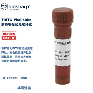 Biosharp bl1189a tritc phalloidin rhodamine-labeled phalloidin bl1189a 300t/box