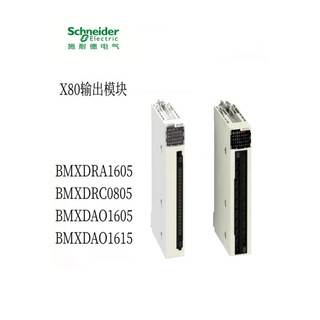 Schneider x80 output module bmxdra1605 bmxdao1 bmxdrc0805