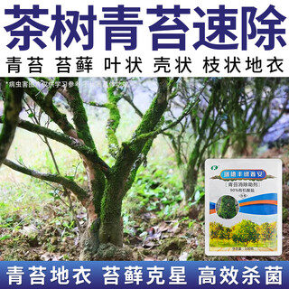 Ruidefeng tea tree moss quick remover moss nemesis organic acid salt ground tree trunk fruit tree removal special moss removal aid 500g*1 bag-2526124