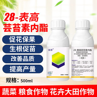 28 high brassinolide fruit tree, vegetable and rice foliar fertilizer to detoxify and protect flowers and fruits, plant growth regulator 500g
