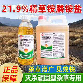 Shandong pesticide 21.9% refined glufosinate ammonium salt herbicide glufosinate rot to eradicate malignant weeds pesticide powerful root rot agent 1kg