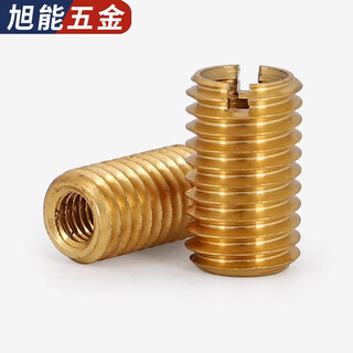 Bingneng brass screw sleeve thread repair sleeve copper internal and external tooth braces slotted screw sleeve reducing nut conversion sleeve self-tapping m2*0.4-m3*0.5-length 4 5 pieces without slot