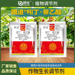 5% indolebutyric acid and naphthylacetic acid can be used for soaking grape cuttings to improve survival rate and drip irrigation rooting 20ml*4 bottles