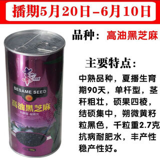 New aerospace overlord whip sesame seed high oil high yield white sesame seed hybrid field short stem high oil seed high oil black sesame 150g can/high oil black sesame