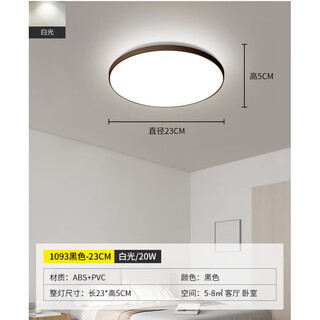 蓝彩和中山灯具吸顶灯过道阳台灯主卧灯灯具房间卧室灯厨房灯佛山 1093-黑色23CM-白光20W