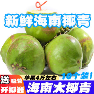 Jingxian fruit camp zida hainan coconut freshly picked 2-6 packs of green coconut large fruit natural coconut juice water for pregnant women with amniotic water pack of four | green coconut with skin | single 3-5 jin jin is equal to 0.5 kg