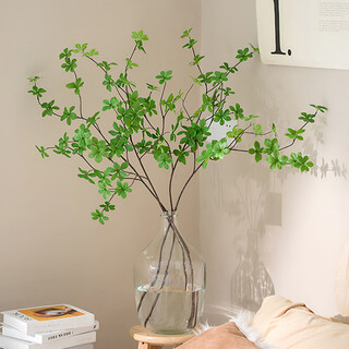 Hanging clock plant simulation green plant flower indoor desktop ins style simulation flower fake plant decorative ornaments 3 big belly bottles