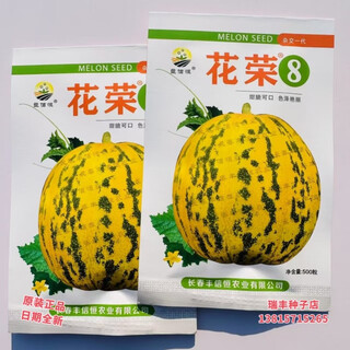 Fengxin henghuarong no. 8 melon seeds super sweet bali fragrant melon seeds green flesh high sugar melon seeds super sweet
