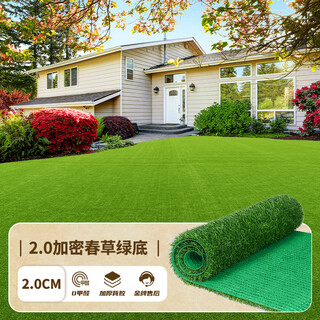 Qingya artificial turf fake turf plastic outdoor decoration green carpet mat 20mm encrypted high quality insulation model