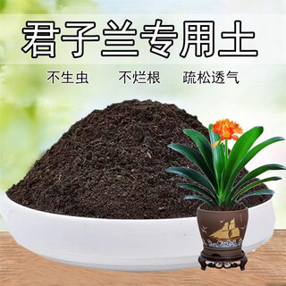 Special soil for clivia, organic flower soil, clivia nutritious soil for flower cultivation, general planting soil, breathable fertilizer, clivia carefully selected special soil 5jin jin is equal to 0.5 kg