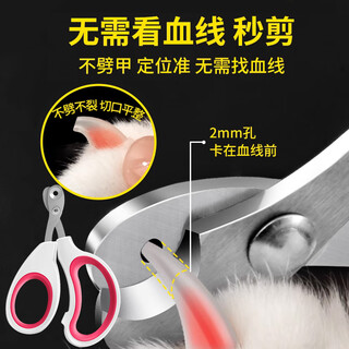 Yile pet cat grooming special comb and brushes cat supplies collection nail clipper cat gloves cleaning dog hair remover artifact nail clipper