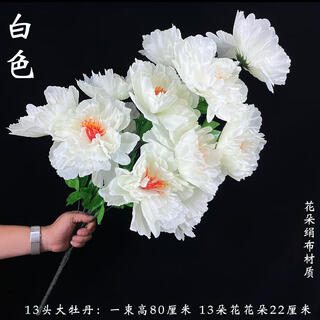 A large peony bouquet for sweeping tombs. flowers placed in front of tombs to worship ancestors during the qingming festival. chrysanthemums and apple blossoms. 13 large peonies. 1 bouquet of white.