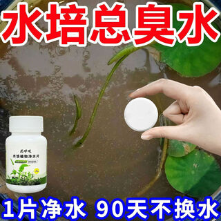 Fresh flowers, rich bamboo nutrient solution, hydroponic plant water purification tablets, disinfection tablets, flower shop purification water quality, hydroponic plant water purification tablets*2 bottles