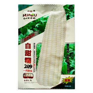 Huasu baitiannuo 209 Семена белой восковой кукурузы Большие палочки Свежие сладкие семена восковой кукурузы Высокодоходные семена белой восковой кукурузы d baitiannuo 209 Пакеты 50 г