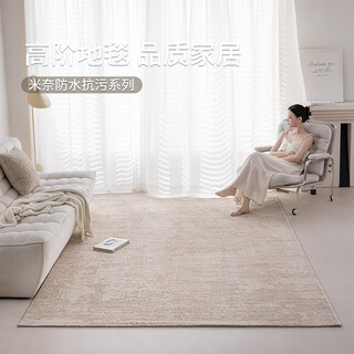 Budis wilton woven carpet living room high-end light luxury style bedroom bedside sofa waterproof and stain-resistant easy care coffee table mat minai 02 240*340cm