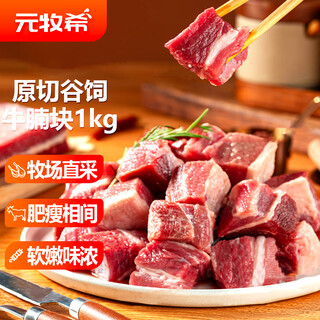 元牧希进口原切鲜牛腩块1kg牛肉（赠送卤料包）食材谷饲生鲜源头直发