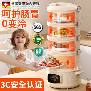 German insulated food artifact dish cover 2025 new household multi-layer winter electric heating leftover rice storage box with four-layer heightened non-electric heating pot