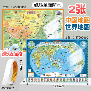 M&g china map and world map for students junior high school geography pvc administrative district crystal wall sticker (paper pack of 2) china + world map/67*98cm/free pair