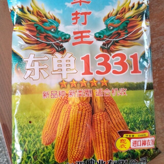 Пять стран рассмотрели семена кукурузы dongya seed industry dongdan 1331/5500 для весеннего и летнего посева с короткими стеблями, устойчивостью к полеганию и устойчивостью к ржавчине. Пять стран проверили семеноводство Восточной Азии dongdan 1331. Один мешок на 5500 зерен x Национальный обзор высокой урожайности.