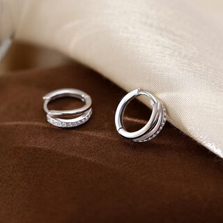 Pt950 platinum moissanite double hoop earrings for women, high-end platinum earrings, earrings, temperament, internet celebrity earrings gifts, platinum double hoops, earrings