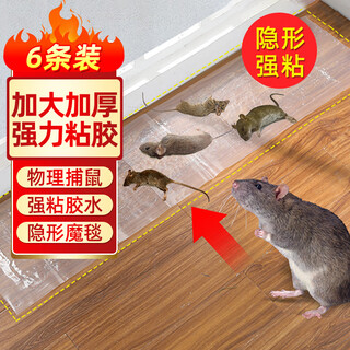 Haushaltsnetz, klebrige maus, transparenter zauberteppich, klebriges mausbrett, mausaufkleber, superstarkes klebriges brett zum töten und vertreiben eines nest-end-mausefallen-artefakts für den kommerziellen gebrauch