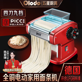 Electric noodle machine, household noodle press, fully automatic stainless steel dumpling xq, painted red three-knife all-copper motor