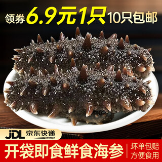 Royal kirin fresh sea cucumber (6.9/piece, minimum sale of 10 pieces) ready-to-eat sea cucumber single package liao sea cucumber dalian sea cucumber fresh sea cucumber (about 6-8cm)