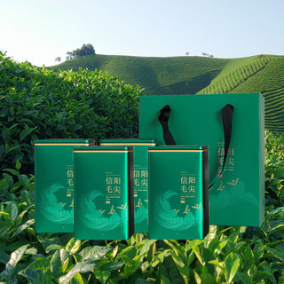 Mingshi chunyuan origin maojian tea wholesale fried green tea before and after the rain spring tea xinyang maojian 125g*2250g