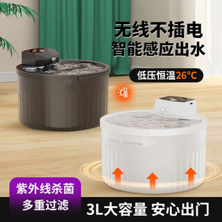 花螗季猫咪饮水机酸奶机恒温加热自动感应循环喝水器流动宠物陶瓷碗 感应出水【白色 2500毫安】