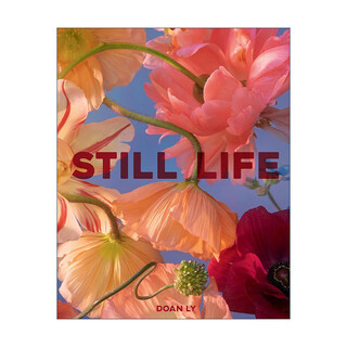Still Life 英文原版 静物生活 精装 美国艺术家Doan Ly 花艺摄影作品 英文版 进口英语原版书籍